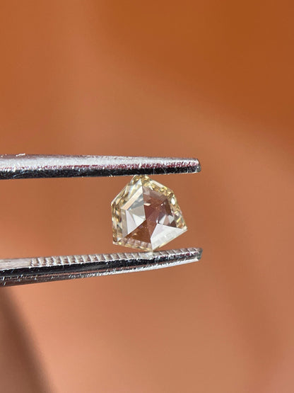 0.31Ct Orange Brown Rose Cut Diamond | Geometric Shield
