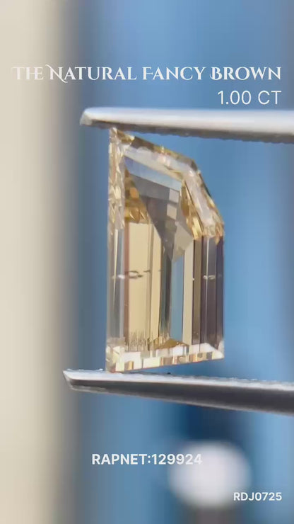 Fancy Step Cut Natural Diamond | 1.00CARATS